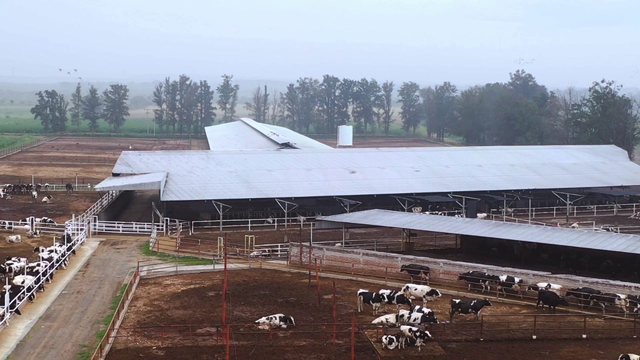 Lotação de Confinamento — Fazenda leiteira (vista elevada)