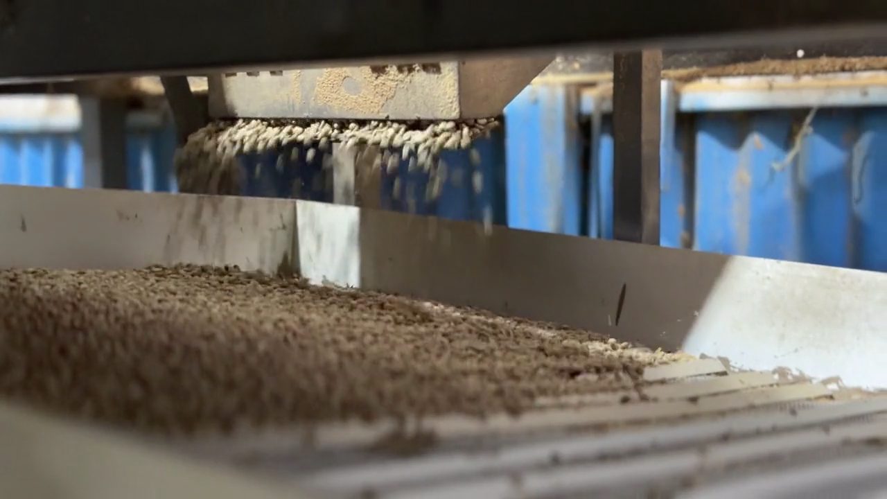Ocupação de Esteiras de Grãos — Alimentação de grãos (correia cheia)